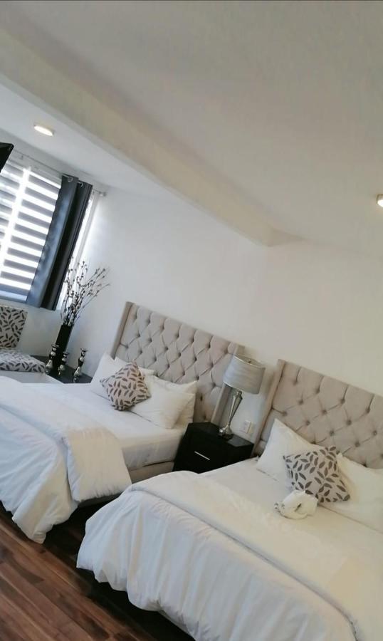 M Hoteles Concepto Morelia Dış mekan fotoğraf